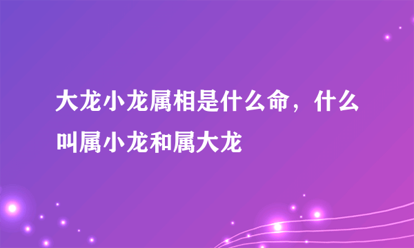 大龙小龙属相是什么命，什么叫属小龙和属大龙