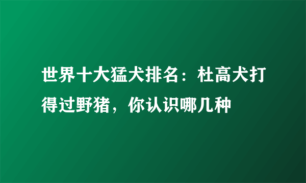 世界十大猛犬排名：杜高犬打得过野猪，你认识哪几种