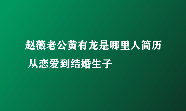 赵薇老公黄有龙是哪里人简历 从恋爱到结婚生子