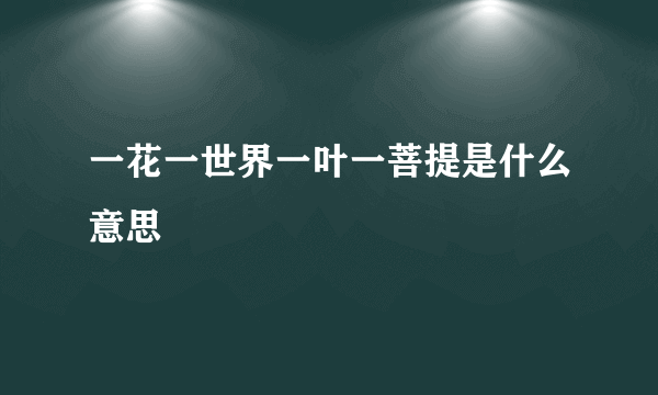 一花一世界一叶一菩提是什么意思