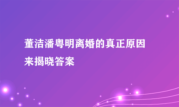 董洁潘粤明离婚的真正原因 来揭晓答案