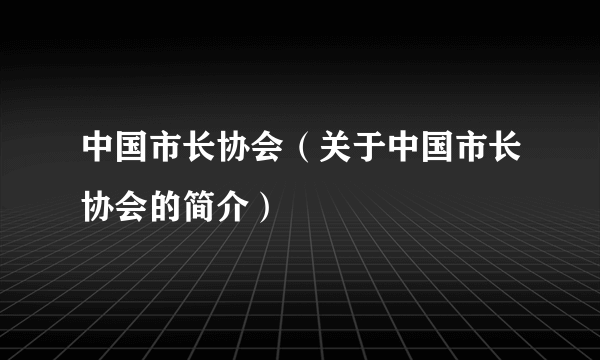 中国市长协会（关于中国市长协会的简介）