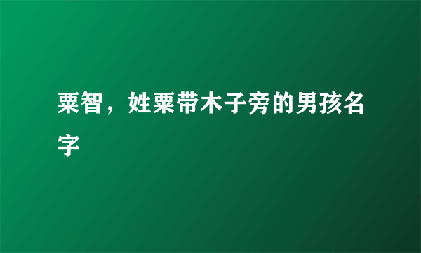 粟智，姓粟带木子旁的男孩名字