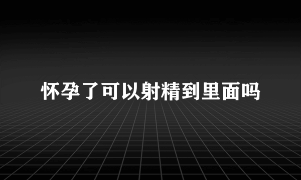 怀孕了可以射精到里面吗