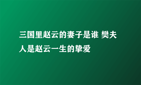 三国里赵云的妻子是谁 樊夫人是赵云一生的挚爱