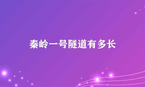 秦岭一号隧道有多长