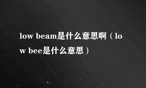 low beam是什么意思啊（low bee是什么意思）