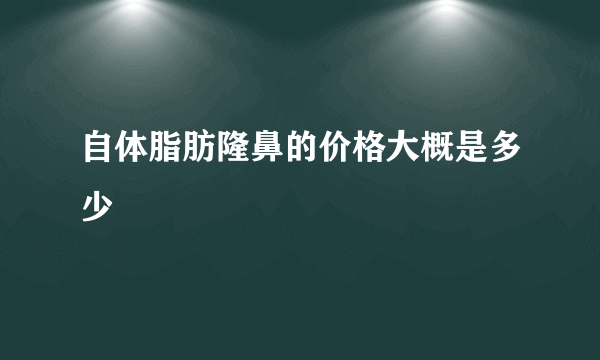 自体脂肪隆鼻的价格大概是多少