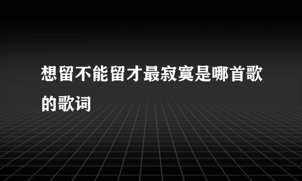 想留不能留才最寂寞是哪首歌的歌词