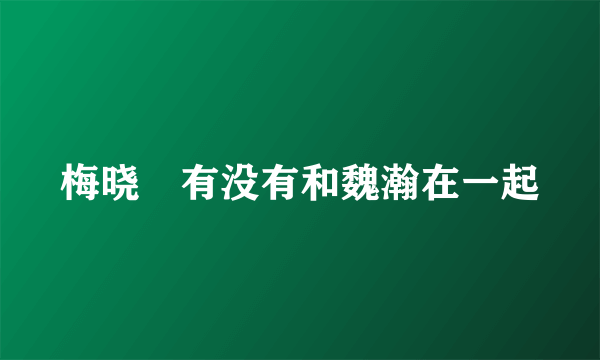 梅晓璠有没有和魏瀚在一起