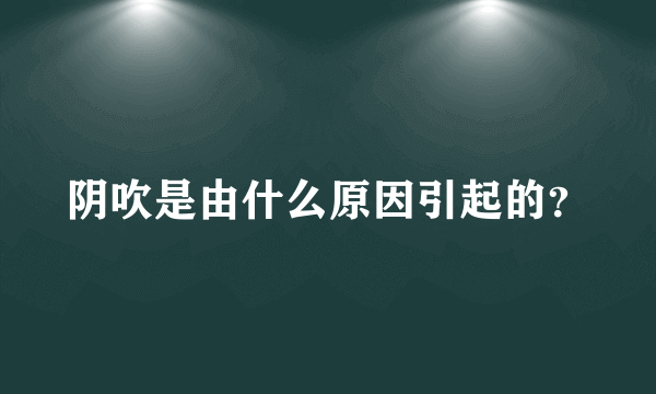 阴吹是由什么原因引起的？