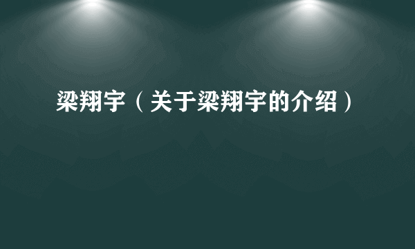 梁翔宇（关于梁翔宇的介绍）