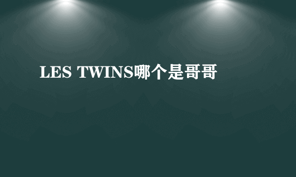 LES TWINS哪个是哥哥