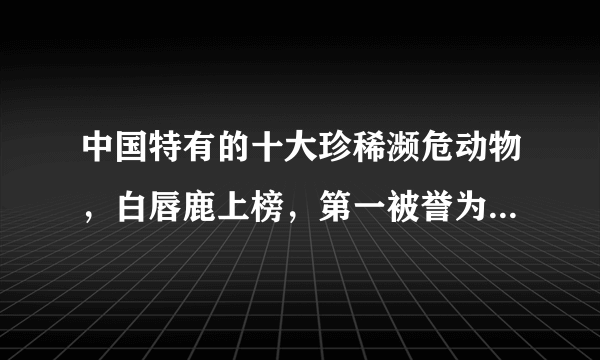 中国特有的十大珍稀濒危动物，白唇鹿上榜，第一被誉为水中大熊猫