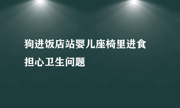 狗进饭店站婴儿座椅里进食 担心卫生问题