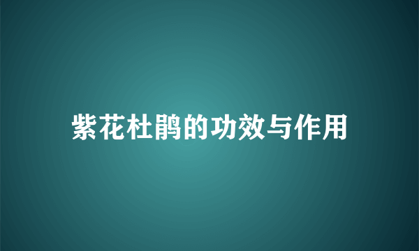 紫花杜鹃的功效与作用