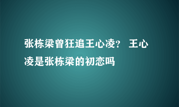 张栋梁曾狂追王心凌？ 王心凌是张栋梁的初恋吗