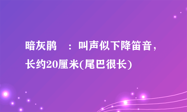 暗灰鹃鵙：叫声似下降笛音，长约20厘米(尾巴很长)