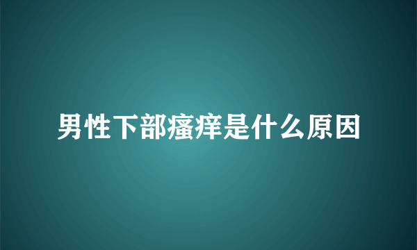 男性下部瘙痒是什么原因