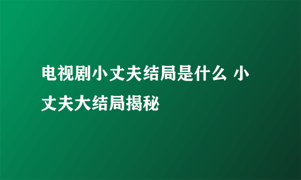 电视剧小丈夫结局是什么 小丈夫大结局揭秘