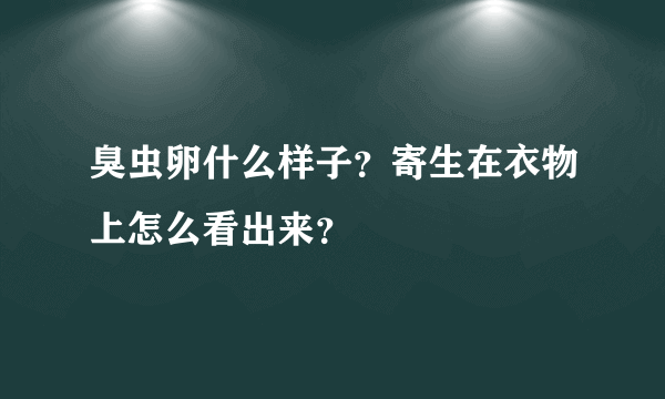 臭虫卵什么样子？寄生在衣物上怎么看出来？