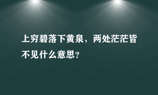 上穷碧落下黄泉，两处茫茫皆不见什么意思？