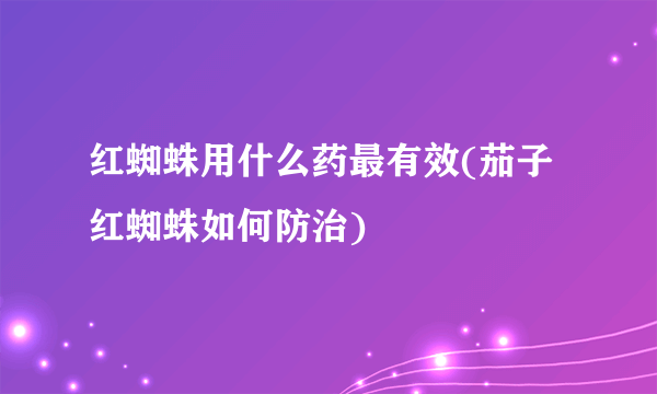 红蜘蛛用什么药最有效(茄子红蜘蛛如何防治)