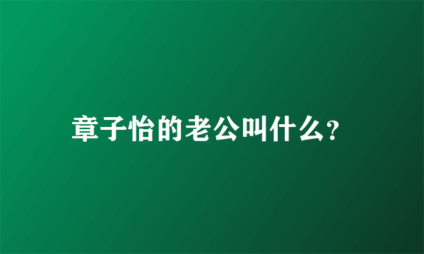 章子怡的老公叫什么？