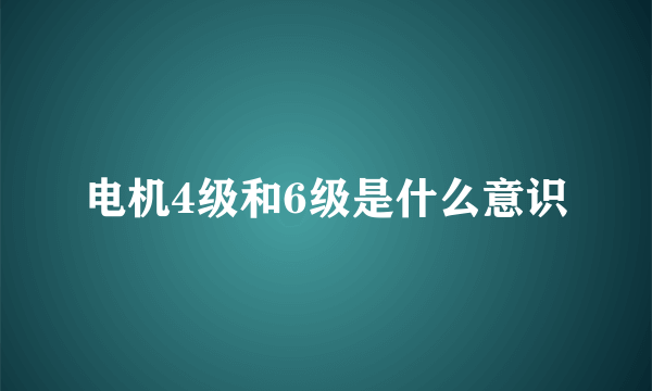 电机4级和6级是什么意识