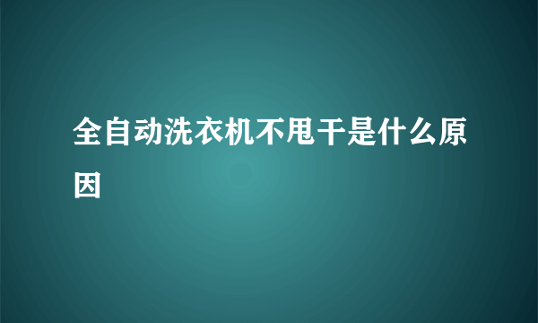 全自动洗衣机不甩干是什么原因