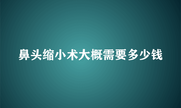 鼻头缩小术大概需要多少钱