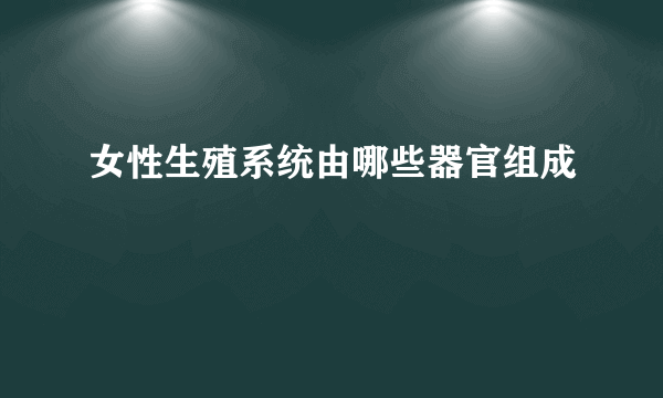 女性生殖系统由哪些器官组成