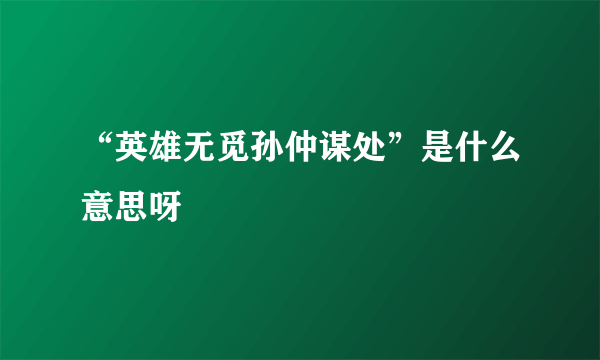 “英雄无觅孙仲谋处”是什么意思呀﹖