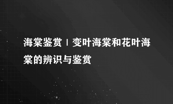 海棠鉴赏｜变叶海棠和花叶海棠的辨识与鉴赏