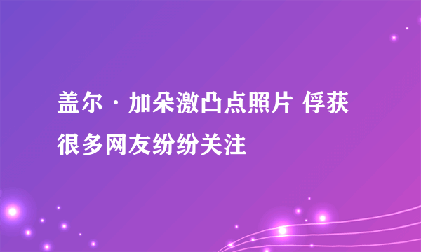 盖尔·加朵激凸点照片 俘获很多网友纷纷关注