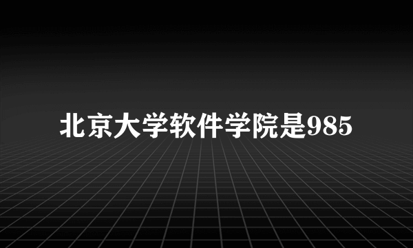 北京大学软件学院是985