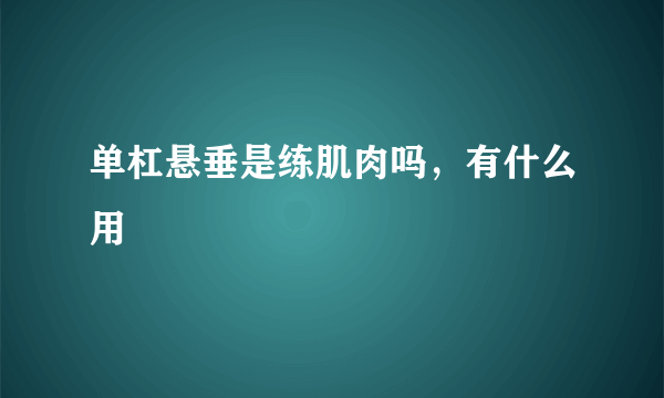 单杠悬垂是练肌肉吗，有什么用