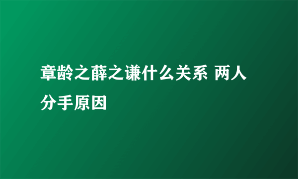 章龄之薛之谦什么关系 两人分手原因