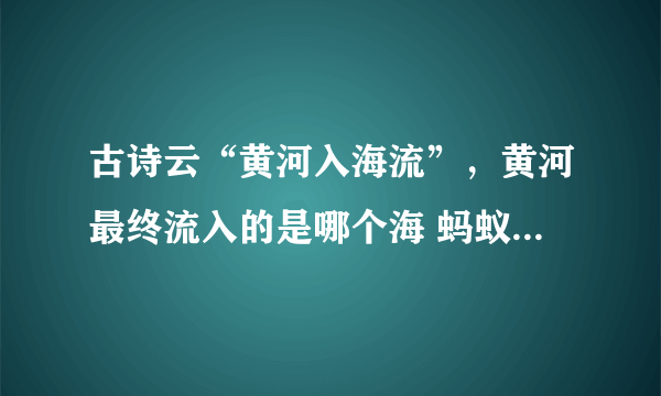 古诗云“黄河入海流”，黄河最终流入的是哪个海 蚂蚁庄园今日答案11.25