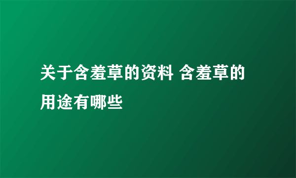 关于含羞草的资料 含羞草的用途有哪些