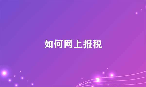 如何网上报税