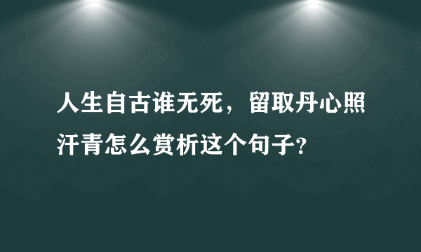 人生自古谁无死，留取丹心照汗青怎么赏析这个句子？