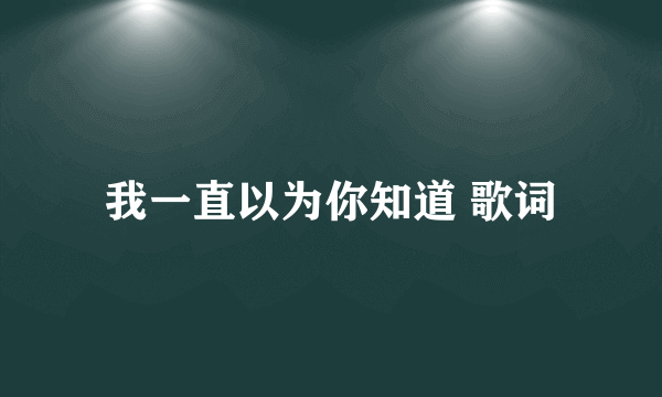 我一直以为你知道 歌词