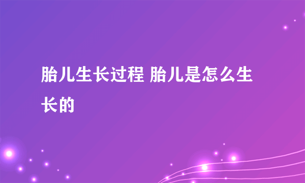 胎儿生长过程 胎儿是怎么生长的