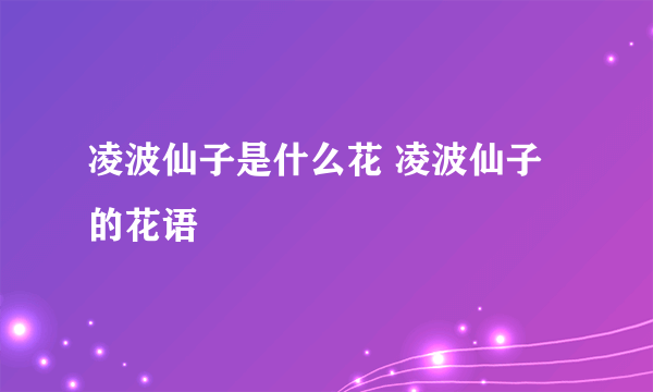 凌波仙子是什么花 凌波仙子的花语