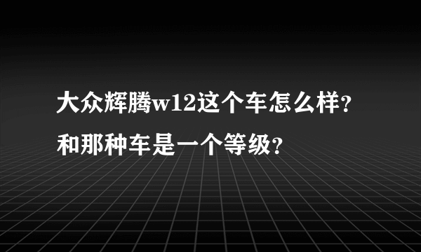 大众辉腾w12这个车怎么样？和那种车是一个等级？