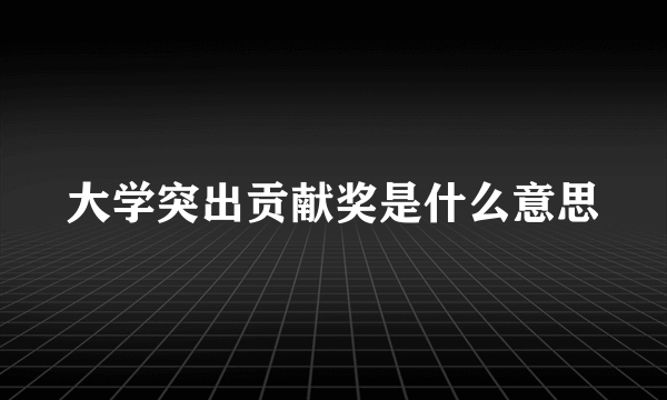 大学突出贡献奖是什么意思