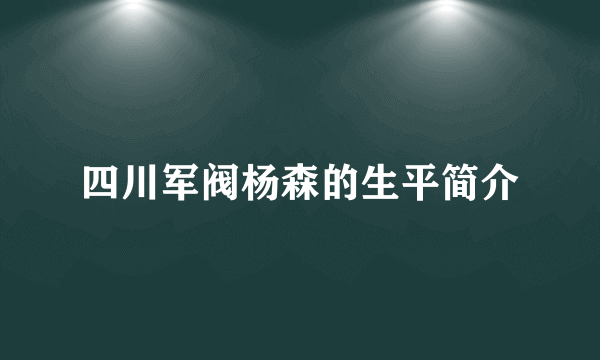 四川军阀杨森的生平简介