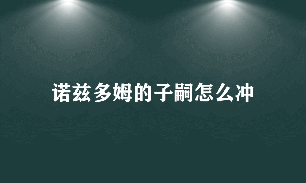 诺兹多姆的子嗣怎么冲