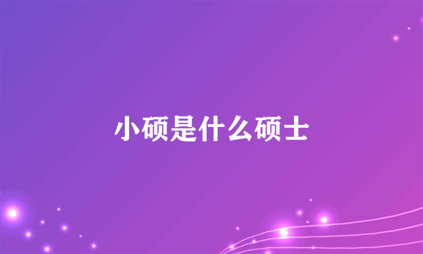 小硕是什么硕士